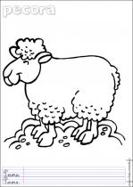 coloriage-mouton-3